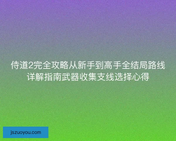 侍道2完全攻略从新手到高手全结局路线详解指南武器收集支线选择心得